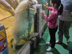 -苏州海洋馆