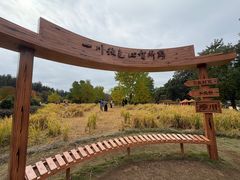 -塔川景区
