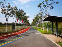 -上海长兴岛郊野公园