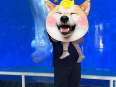 -泉城欧乐堡海洋极地世界