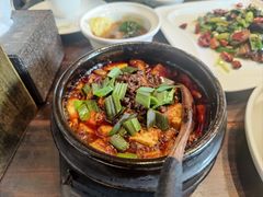 -陈麻婆豆腐(旗舰店)