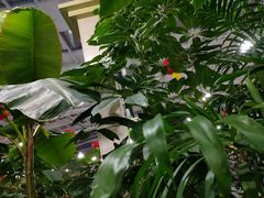 -兴芮温泉度假区