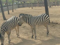 -石家庄市动物园