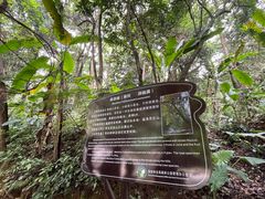 -福清灵石山国家森林公园