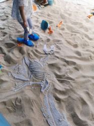 -恐龙探索乐园(磁器口店)