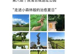 -中国茶叶博物馆(双峰馆区)