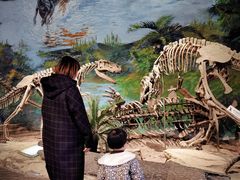 -自贡恐龙博物馆