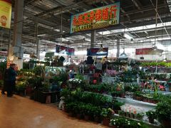 -大自然花鸟鱼虫市场