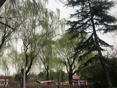 -丰台花园