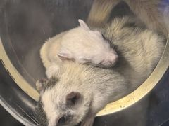 -太平洋海底世界