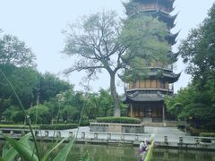 -红梅公园