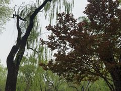 -玲珑塔公园