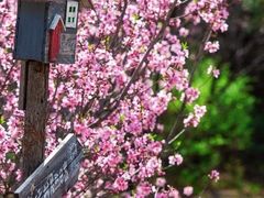 -云峰山自然风景区