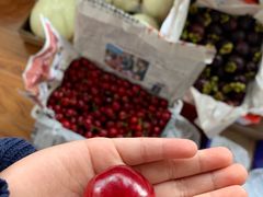 -西郊国际农产品交易中心