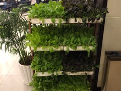 -林记潮汕牛肉(融汇店)