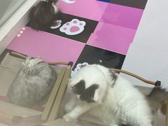 -昆山招商花园城