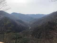 -五女峰国家森林公园