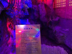 -青藤汗蒸时代会所