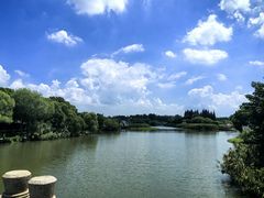 -沙家浜风景区