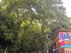 -杭州少年儿童公园