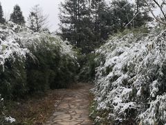 -山王坪喀斯特国家生态公园