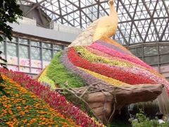 -花之城