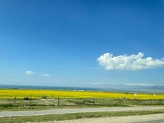 -青海湖国家重点风景名胜区