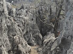 -千岛湖石林