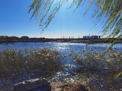 -天津东丽湖风景区