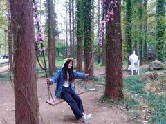 -日照灯塔风景区