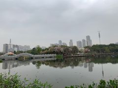 -映月湖公园