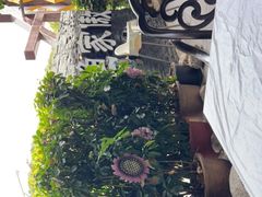 -京北渔家傲