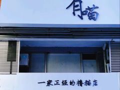 -有喵·猫咖·狗咖·40+猫狗有小奶狗(岗厦店)