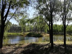 -东郊湿地公园