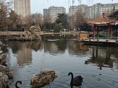 -西苑公园