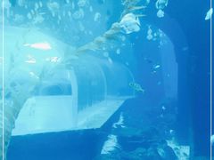 -波塞冬海底世界