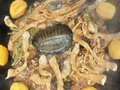 -铁锅炖灶台鱼老三炖鱼馆