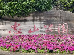 -忠山公园