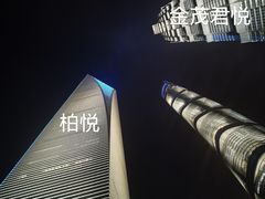 -上海柏悦酒店