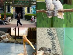 -海合安武汉极地海洋公园