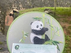 -都江堰中华大熊猫苑