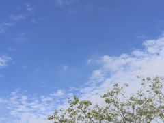 -东南大学(九龙湖校区)