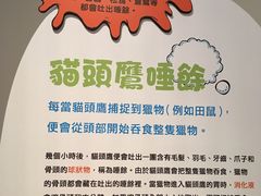 -香港科学馆