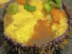 -海胆小馆(东北水饺·春柳店)