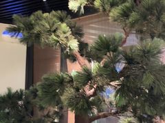 -绿茶餐厅(成都大悦城店)