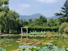 -国家植物园南园