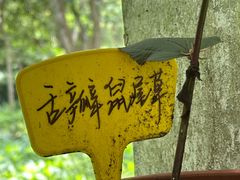 -杭州植物园