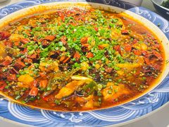 -新概念来凤鱼(璧山店)