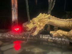 -明月山天沐温泉度假村