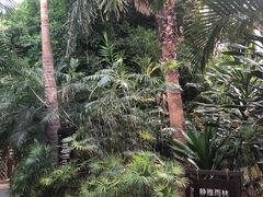 -龙达温泉生态城